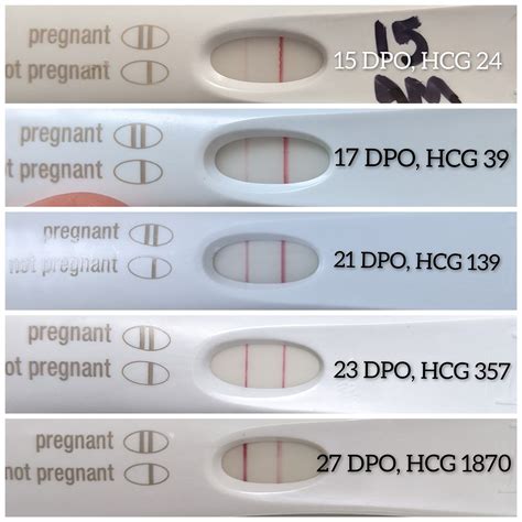 beta hcg test normal range|Beta hCG Test for Pregnancy: Normal Levels and Test Results.
